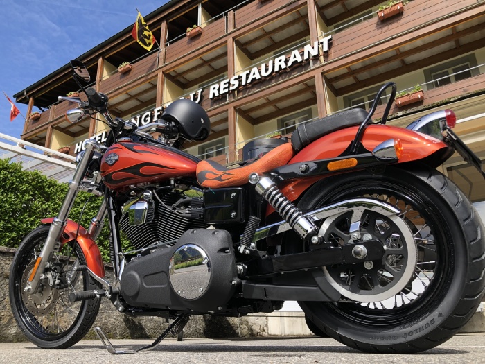  JUNGFRAU HOTEL RESTAURANT in Wilderswil 